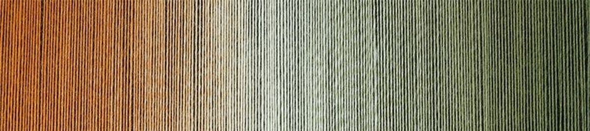 2330 autumn champion Zauberball laceflower garn